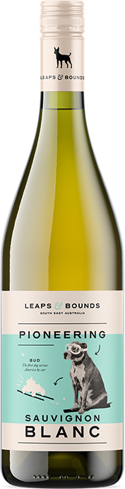Leaps & Bounds Sauvignon Blanc bottle
